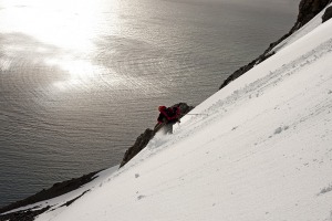 antarctic-stories
