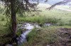 20130721_124156.jpg