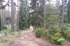 20130721_130641.jpg