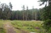 20130721_131032.jpg