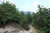 20130721_134618_1_bestshot.jpg