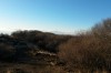 20141221_160209.jpg