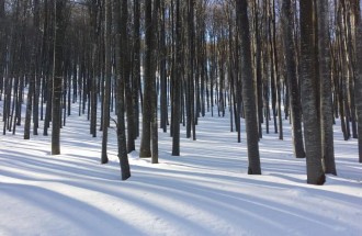 Петрохан Freeride