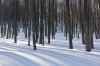 20170128_133833.jpg