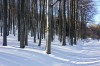 20170128_133836.jpg