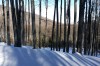 20170128_133839.jpg