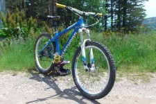 Dartmoor Hornet 2013