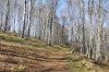 IMG_0582.JPG