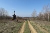 IMG_0585.JPG