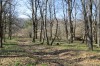 IMG_0590.JPG