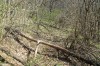 IMG_0593.JPG