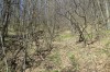IMG_0594.JPG