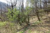 IMG_0596.JPG
