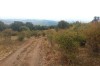 IMG_20130914_133413.jpg