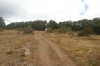 IMG_20130914_133419_1.jpg