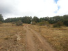 IMG_20130914_133419.jpg