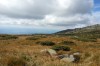 IMG_20130915_135617.jpg