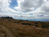 IMG_20130915_135622.jpg