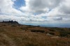 IMG_20130915_135622.jpg