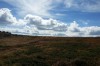 IMG_20130915_150921.jpg