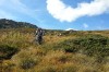 IMG_20130915_151310.jpg