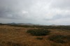 IMG_20130929_145423.jpg