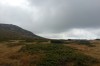 IMG_20130929_145436.jpg