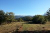IMG_20131005_160555.jpg