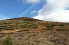 IMG_20131013_144820.jpg