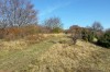 IMG_20131026_152917.jpg