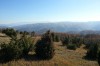 IMG_20131026_152920.jpg