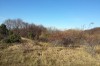 IMG_20131026_152928.jpg