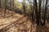IMG_20131026_155449.jpg