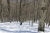 IMG_7096.JPG