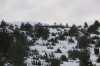 IMG_7163.JPG