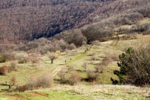 Кремиковци - врътка около манастира