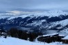 Schwancia05.jpg