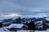 Schwancia06.jpg