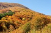 _MG_0534_low.jpg