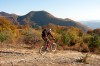 _MG_0696_low.jpg