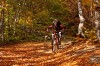 _MG_0713_low.jpg
