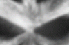 p16mlgj2qe18ags7n5gb193uk1b1.gif