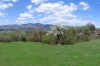 p16s6ksupk1g57180440d3e5hud7.jpg