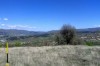 p16s6ksupka2b1dg1p656fo1kpv6.jpg