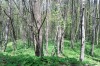 p16sjmhdf98r21b3q8j81etqpf93.jpg
