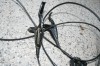 p1790ct341nbi7ul1dbughhhrt6.JPG
