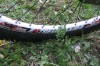 tn_IMG_9716.JPG